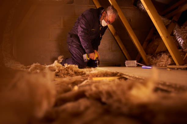 Best Basement Insulation  in Huber Ridge, OH